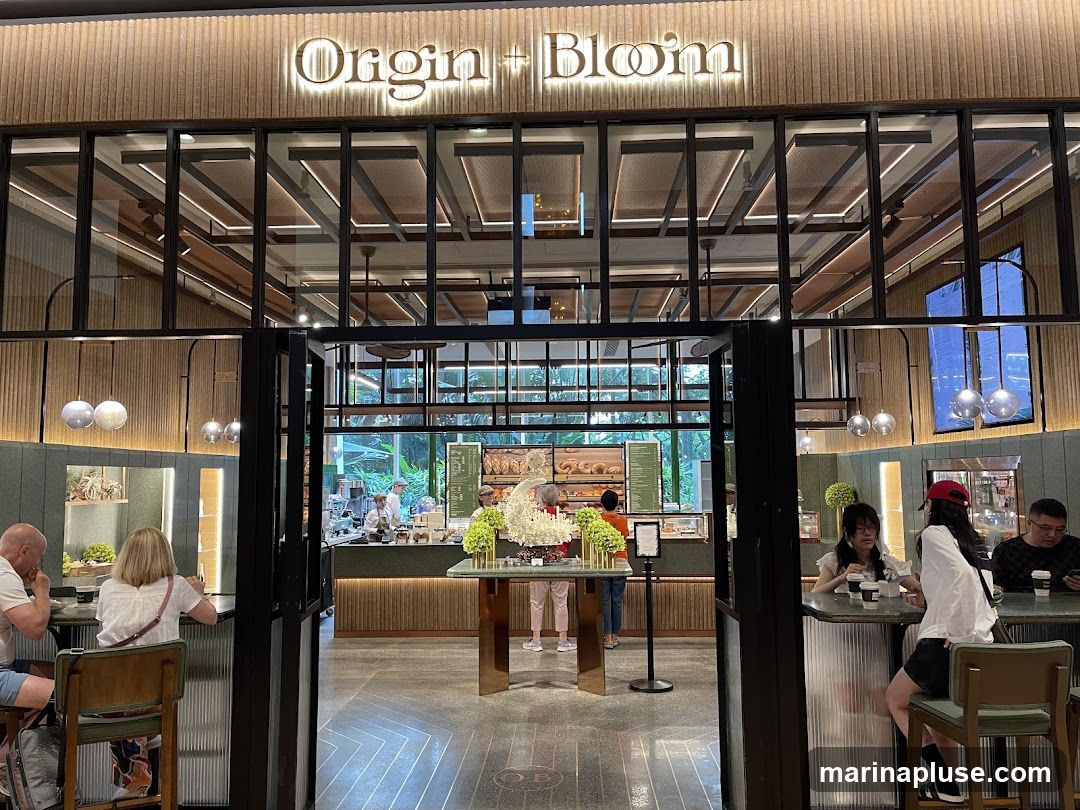 Origin + Bloom