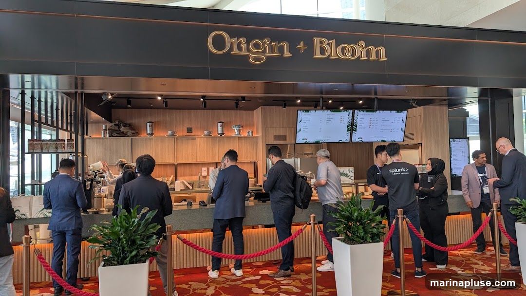 Origin + Bloom