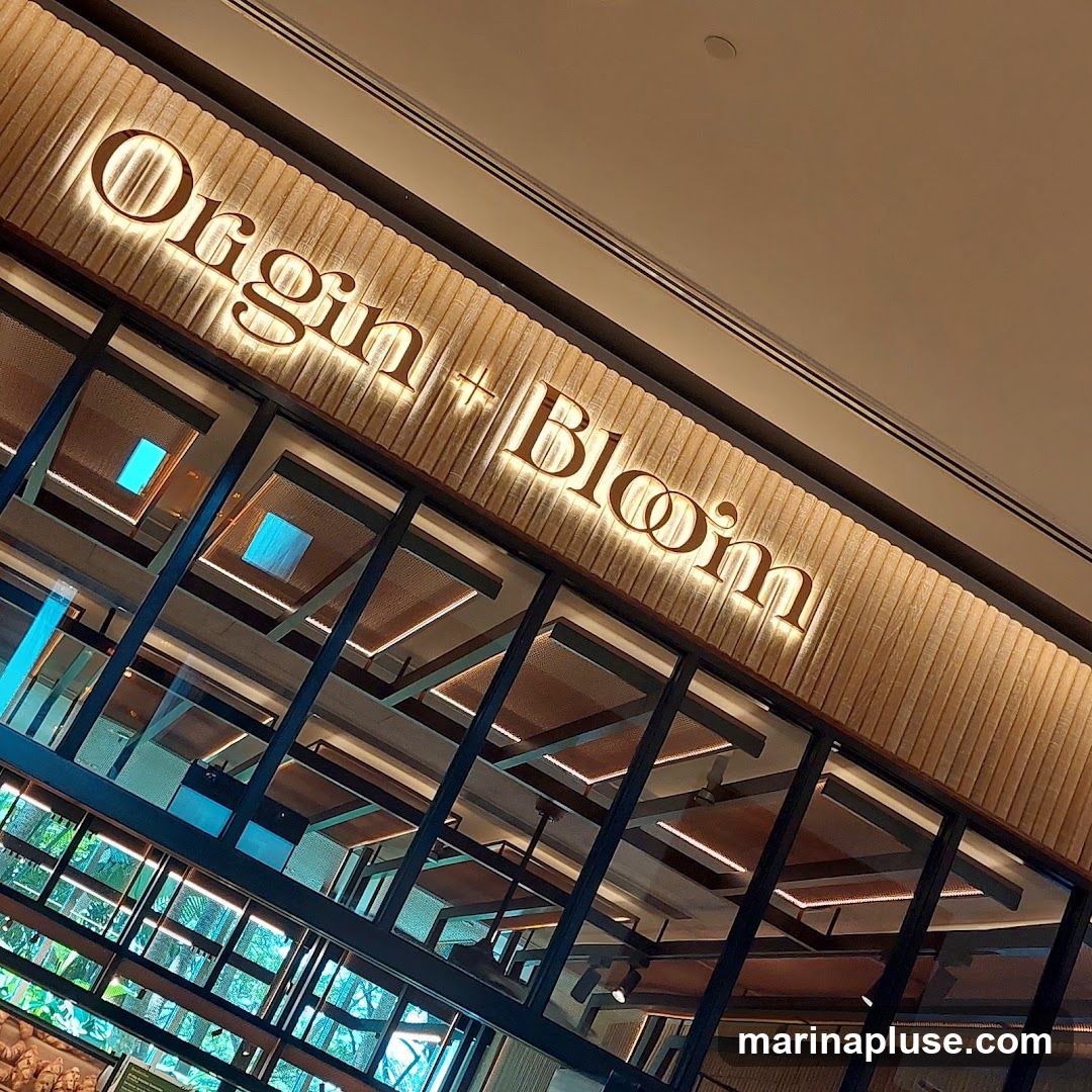 Origin + Bloom