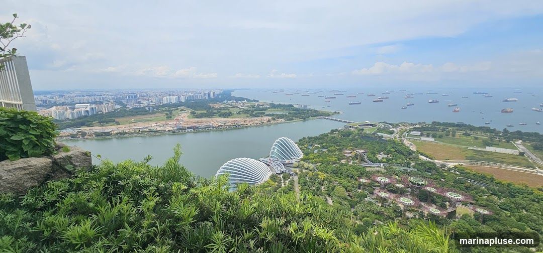 A wide-angle shot captures the sprawling cityscape of Singapore, with numerous buildings stretching towards the horizon. In the foreground, lush green foliage and rocks frame the view. The middle ground features the iconic domes of Gardens by the Bay, with their distinctive white, curved structures. Beyond the gardens, a body of water is dotted with many cargo ships, indicating a busy port. The sky is partly cloudy, with a bright, hazy atmosphere.