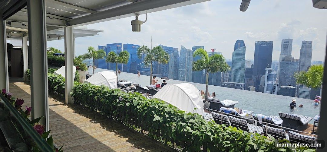 An infinity pool is situated on a rooftop, offering a panoramic view of a city skyline. Several people are seen relaxing in the pool and on lounge chairs. Lush green plants and palm trees surround the pool area, with white cabanas providing shade. The architecture suggests a modern, upscale establishment.