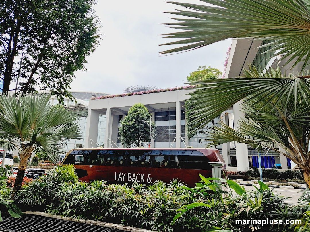 A brown bus with the words "LAY BACK &" visible on its side is parked in front of a modern building with large glass windows and white columns. Lush green foliage and palm trees partially obscure the view of the bus and building.