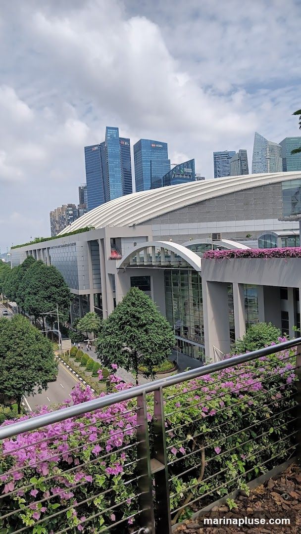 A wide shot of a modern building with a curved roof, set against a backdrop of a city skyline with tall skyscrapers. The building features large glass windows and is surrounded by lush green trees and vibrant purple flowers in the foreground. The sky is partly cloudy.