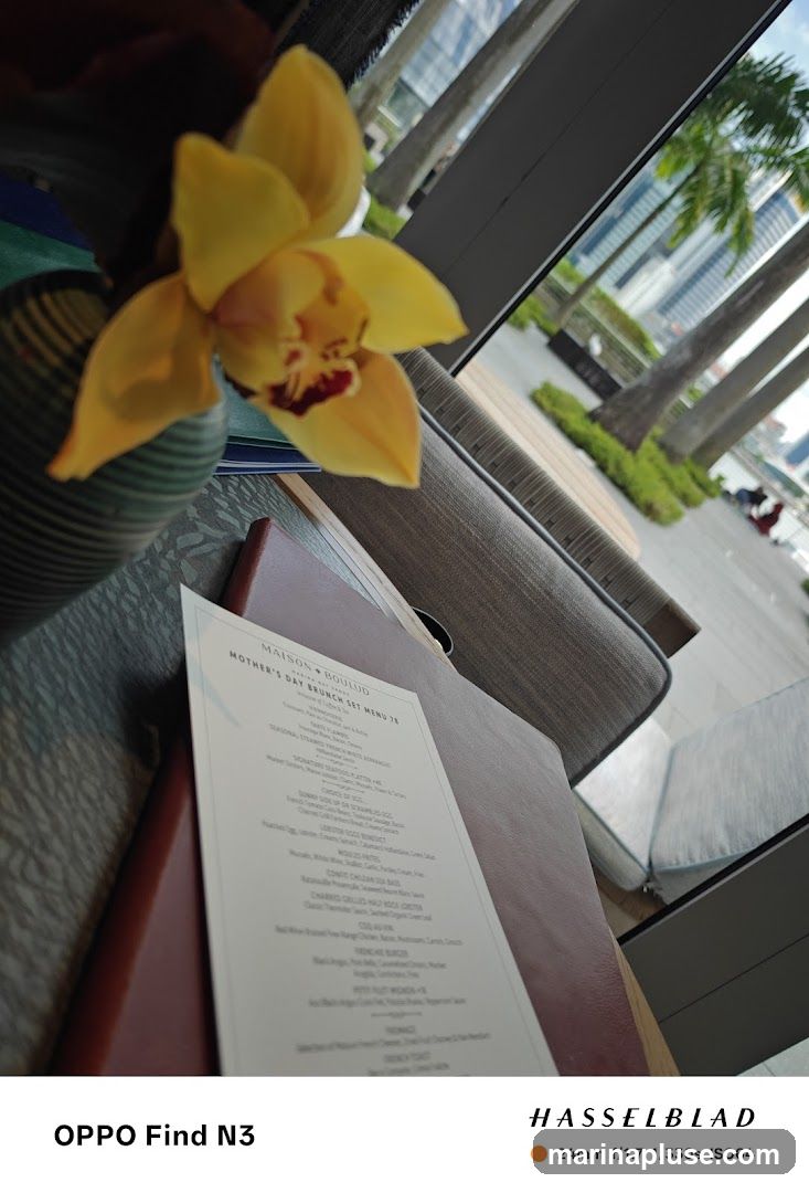 A menu for Mother's Day Brunch is displayed on a table with a yellow orchid in the foreground. In the background, palm trees and city buildings are visible through a window.