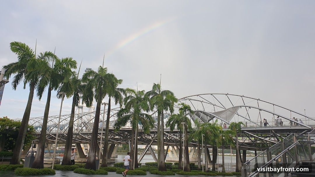 A rainbow arcs across a cloudy sky above a modern pedestrian bridge. Palm trees line the foreground, with a person jogging on a wet pathway. The bridge features a distinctive metal structure and is populated with several people walking.