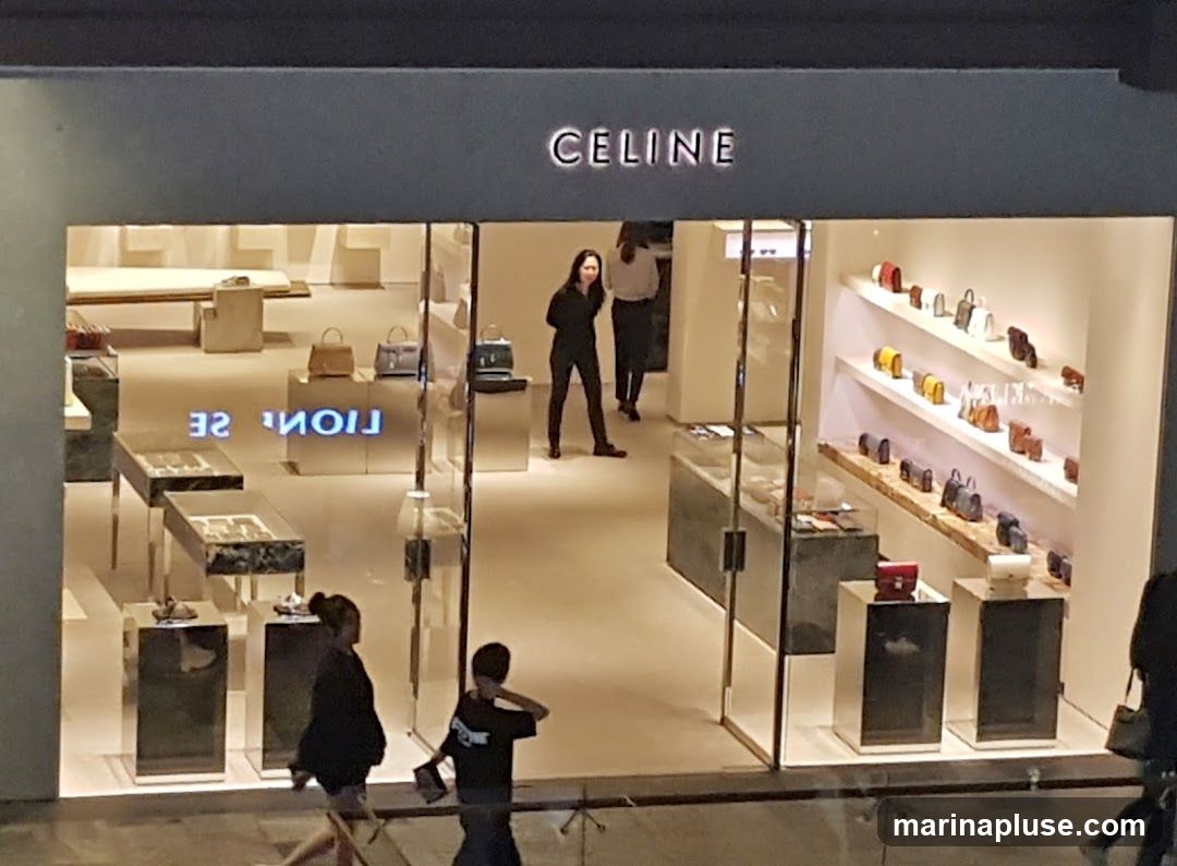 The exterior of a Celine store with the brand name prominently displayed above the entrance. The storefront features large glass windows showcasing handbags and accessories displayed on shelves and pedestals. Several people are visible inside the store and walking past the entrance.