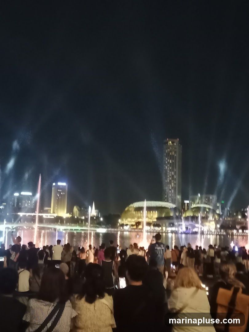 A crowd of people watches a vibrant fountain show at night. The fountains are illuminated with colorful lights, creating a dazzling display against the dark sky. In the background, city buildings and a distinctive domed structure are visible, also lit up. The scene captures a lively atmosphere of public entertainment.
