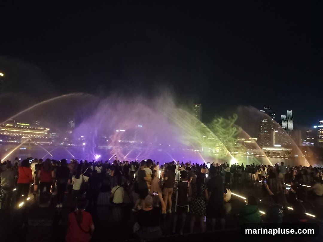 A large crowd of people are gathered at night, watching a spectacular water and light show. The water jets are illuminated with vibrant purple and green lights, creating a mesmerizing display against the dark sky. In the background, city buildings are visible, lit up and reflecting on the water. The audience is silhouetted against the bright lights of the show.