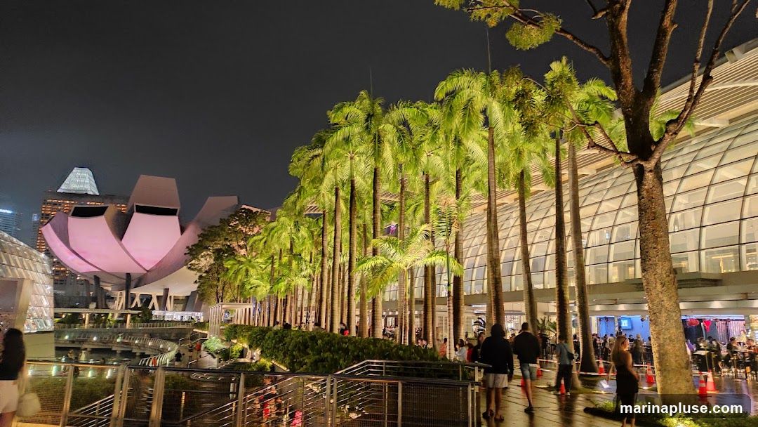 A nighttime scene shows a waterfront promenade lined with tall palm trees illuminated by green lights. In the background, a distinctive lotus-shaped building glows with pink light, and other modern structures are visible. People are walking along the promenade and near the entrance of a large building with a glass facade. The ground appears wet, suggesting recent rain.