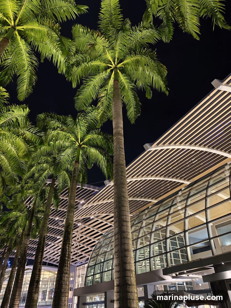 A row of tall palm trees with illuminated green fronds stands in front of a modern building with a curved glass facade and a slatted roof structure. The scene is set at night, with the dark sky contrasting with the bright lighting on the trees and building.