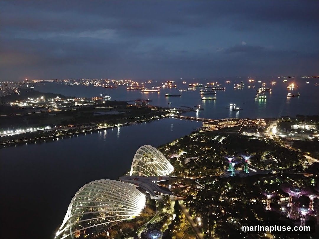 An aerial view of a city at night, showcasing a wide expanse of water filled with numerous cargo ships. The cityscape is illuminated with lights, and prominent structures, possibly gardens or conservatories, are visible in the foreground, glowing brightly. The sky is dark and cloudy, adding to the dramatic atmosphere.