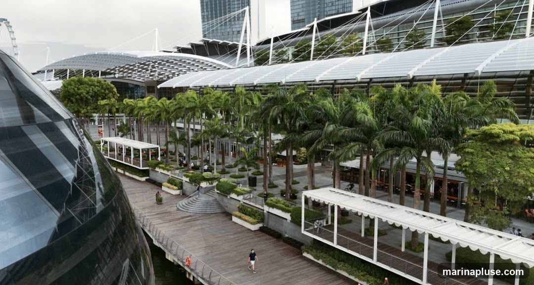 A wide shot of a modern waterfront promenade lined with palm trees and contemporary architecture. In the foreground, a curved, glass-paneled structure reflects the surroundings. A wooden walkway leads towards a long building with a white, scalloped awning, behind which are several establishments with outdoor seating. Further back, a row of tall palm trees separates the walkway from the main building, which features a large, translucent roof supported by white beams. In the distance, skyscrapers rise above the scene, and a Ferris wheel is visible on the left. People are seen strolling along the walkway and seated at outdoor tables.