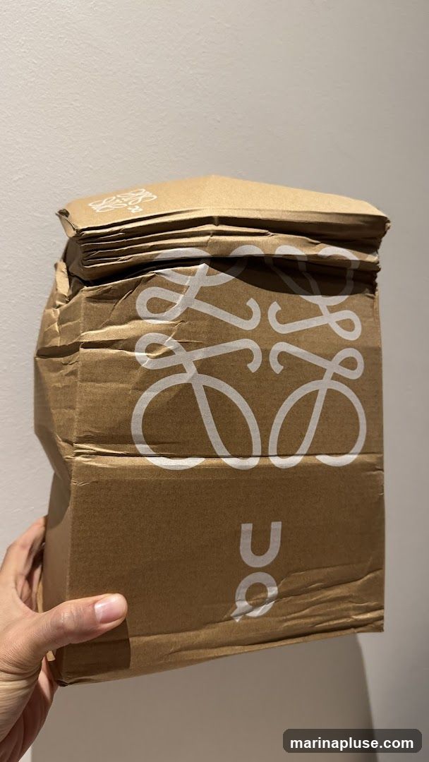 A hand holds a crumpled brown paper bag with the Loewe logo printed in white. The bag appears to be a shopping bag or packaging from the luxury fashion brand.