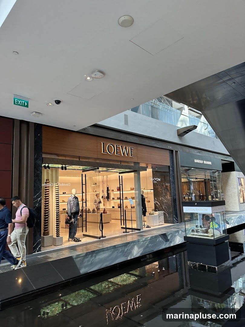 The exterior of a Loewe store with its name prominently displayed above the entrance. The store features a well-lit interior showcasing handbags and mannequins dressed in clothing. Adjacent to the Loewe store is another shop with the name 'LINDA FARROW' visible on a display case. The storefront is situated in a modern indoor shopping complex with a reflective water feature in the foreground.