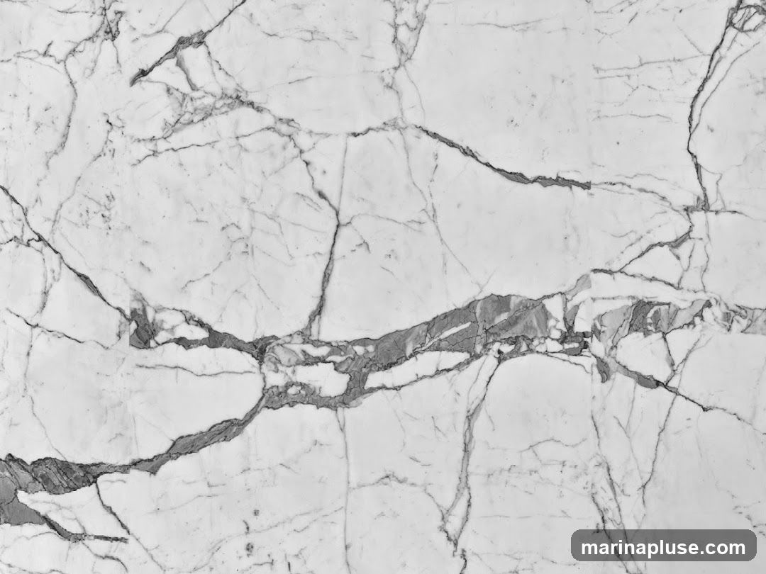 A close-up, black and white photograph of a marble surface, showcasing its natural veining and texture. The dominant color is white, with intricate grey and black lines forming a complex pattern across the stone.