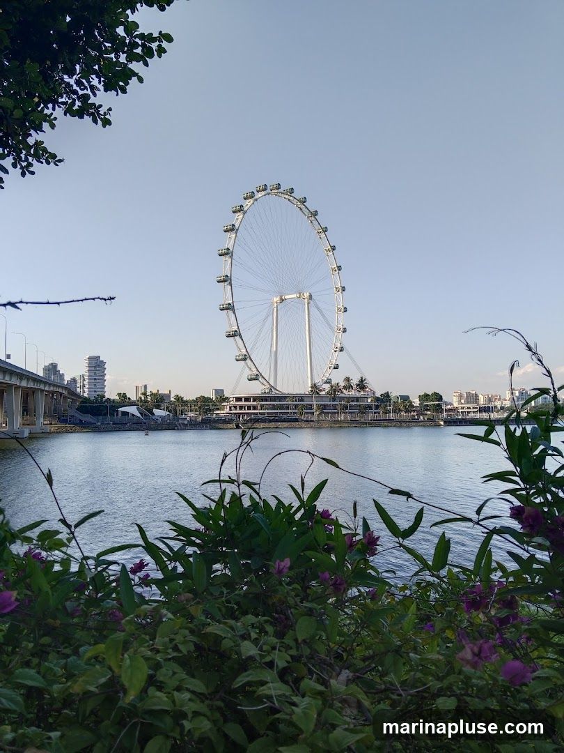 A view of the Singapore Flyer, a large observation wheel, across Marina Bay. The wheel is white with many gondolas. In the foreground, lush green foliage with purple flowers partially obscures the view. A bridge and city skyline are visible in the background. The sky is clear and blue.