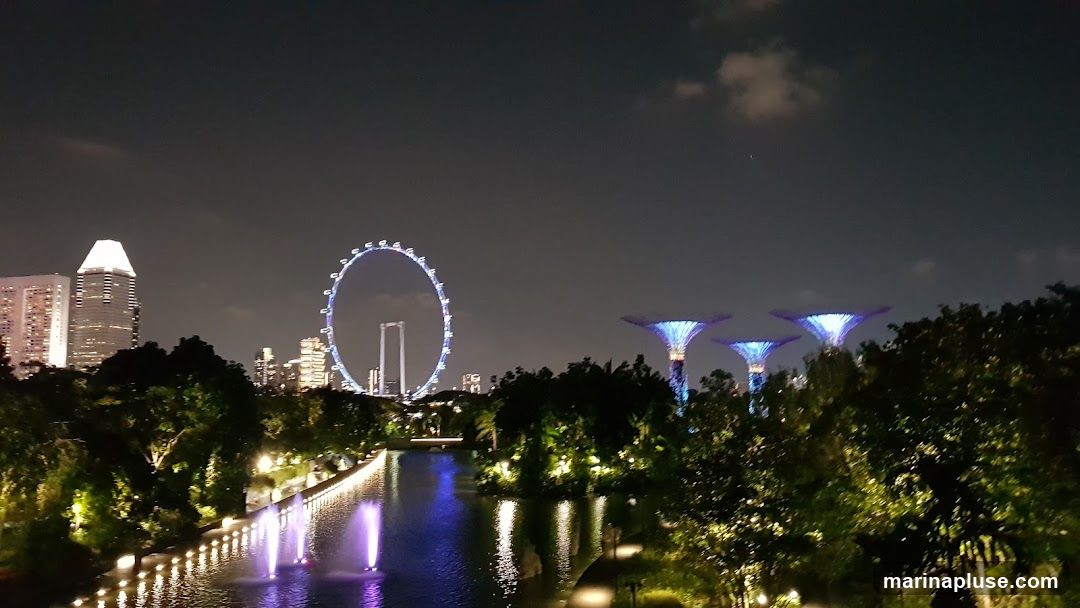 A nighttime view of a city skyline featuring a large Ferris wheel, illuminated supertrees, and modern skyscrapers. A body of water with fountains reflects the colorful lights, and lush greenery is visible in the foreground.