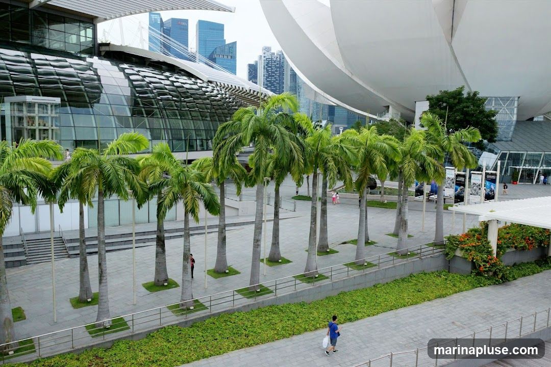 A wide shot of a modern architectural complex featuring a large, curved glass building and a white, sail-like structure. A row of tall palm trees lines a paved walkway in the foreground. In the background, several skyscrapers are visible. People are seen walking along the pathways and near the building entrances. Banners are displayed on poles in front of the building.