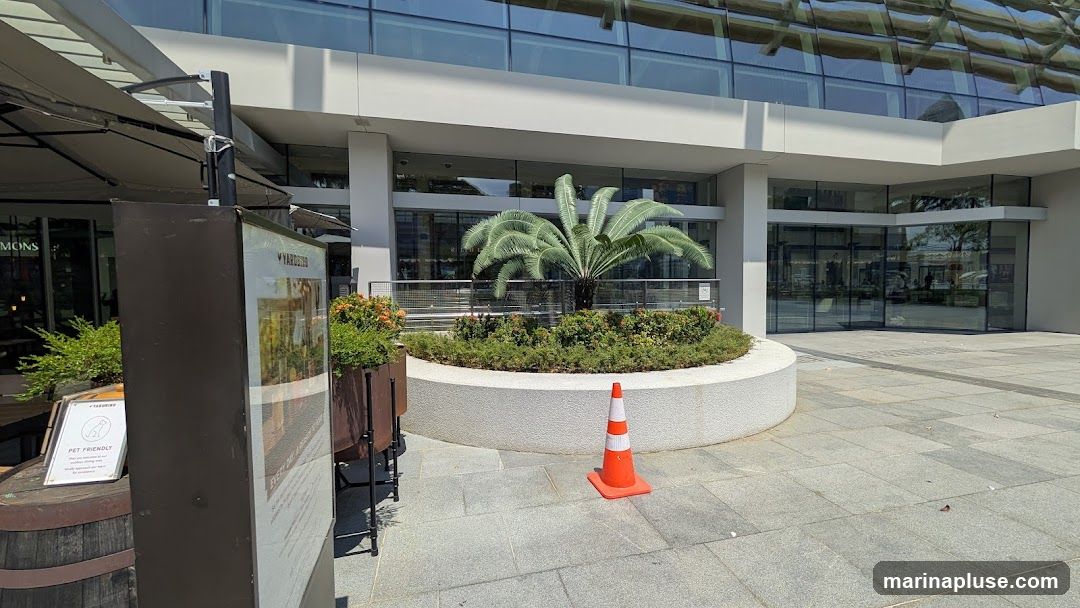 An outdoor seating area in front of a modern building with large glass windows. A large sign with the word "YARDSTED" is visible, along with a smaller sign indicating "PET FRIENDLY". There is a planter with a palm tree and surrounding greenery, and an orange traffic cone on the paved ground.