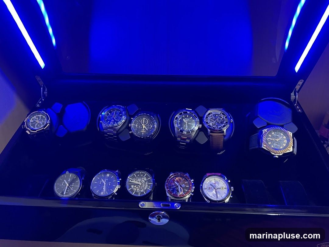 A black watch winder box with blue LED lighting, displaying a collection of ten watches. The watches are arranged in two rows, with five in each row. Some watches have visible brand names and intricate designs.