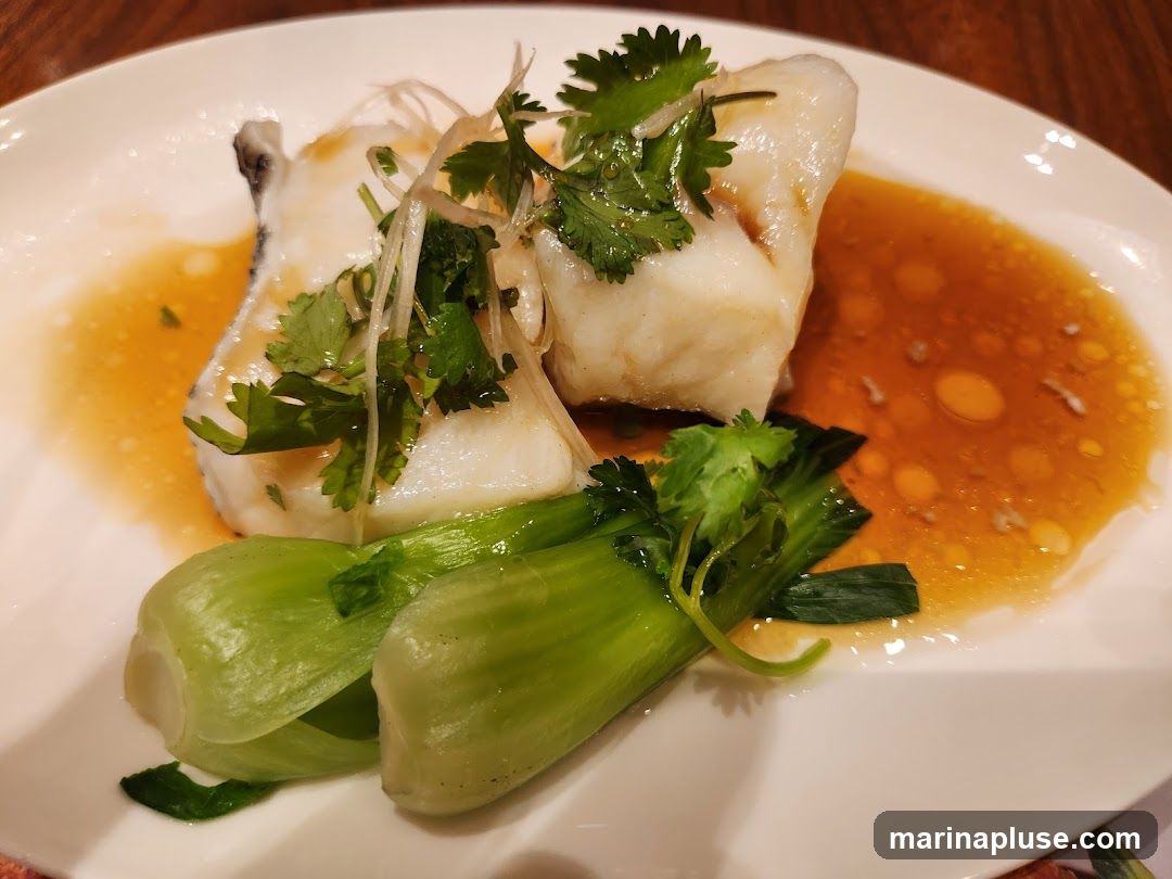 A white plate holds two pieces of steamed white fish, garnished with cilantro and thinly sliced ginger. The fish is served in a savory brown sauce and accompanied by two stalks of bok choy.
