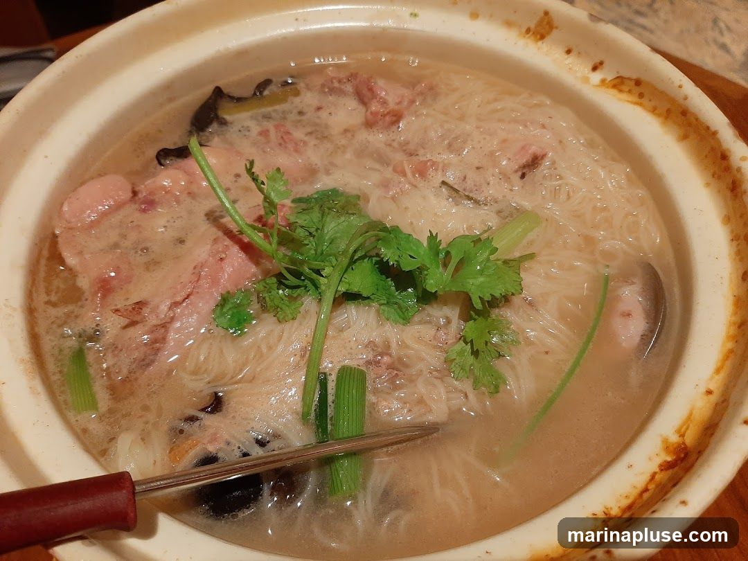 A close-up shot of a steaming bowl of noodle soup. The soup contains thin white noodles, pieces of meat, mushrooms, and green onions, garnished with fresh cilantro. A serving utensil with a dark red handle is partially submerged in the broth. The ceramic bowl has a slightly browned rim.