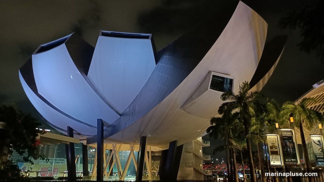 The ArtScience Museum in Singapore is illuminated at night, showcasing its distinctive lotus-inspired architecture. The building's white petals are lit with a cool blue light, contrasting with the dark sky. Palm trees are visible in the foreground, and several banners with the text "FUTURE WORLD" and other promotional content are displayed on poles. The overall scene suggests a vibrant cultural attraction open after dark.