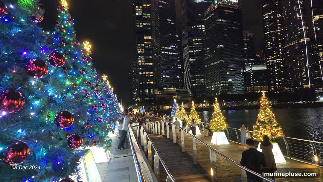 A row of decorated Christmas trees line a walkway next to a body of water, with illuminated skyscrapers in the background. The trees are adorned with colorful lights and red ornaments. People are seen strolling along the walkway and admiring the festive display. The date '08 Dec 2024' is visible in the lower left corner.