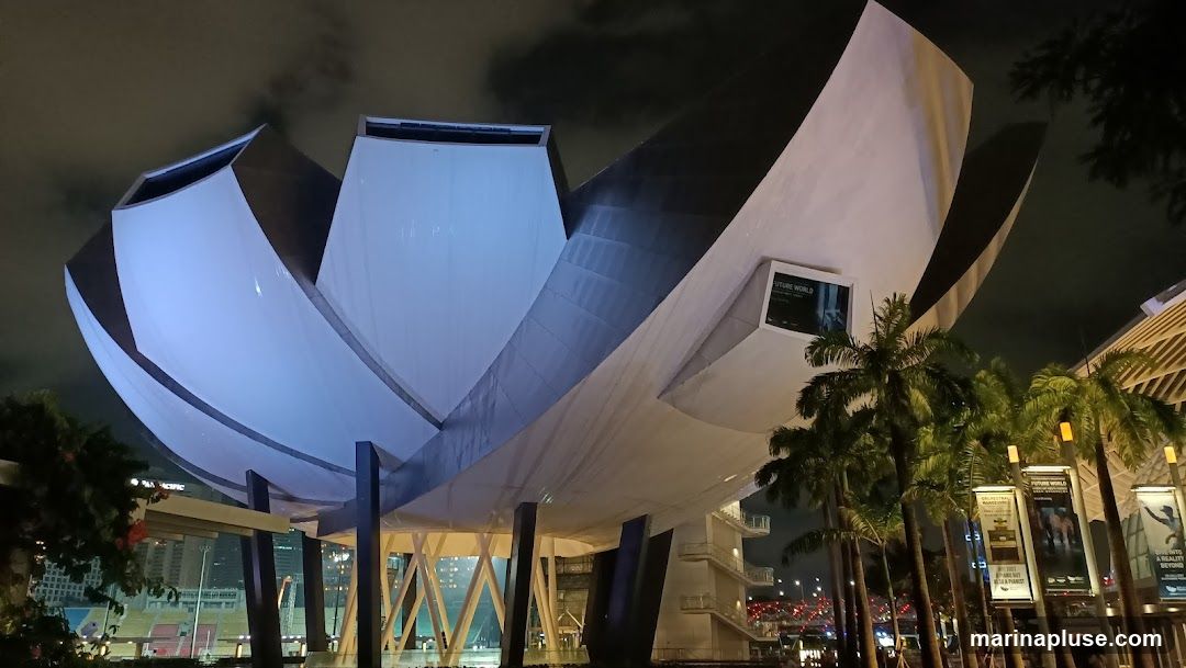 The ArtScience Museum in Singapore is illuminated at night, with its distinctive lotus-shaped architecture prominently displayed. The building's white petals are lit with a cool blue light, contrasting with the dark sky. Palm trees line the foreground, and several banners hang from poles, advertising exhibitions such as "Future World" and "Orchestral Manoeuvres". The city skyline is visible in the background.