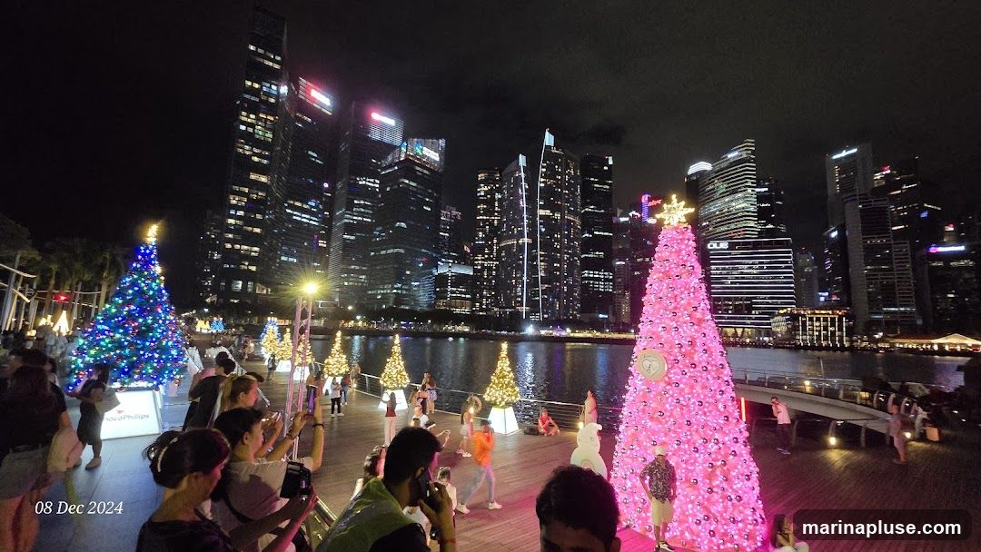 A nighttime scene with several decorated Christmas trees along a waterfront promenade. In the background, a city skyline with illuminated skyscrapers is visible. People are gathered, some taking photos of the festive display. The date '08 Dec 2024' is visible in the lower left corner.