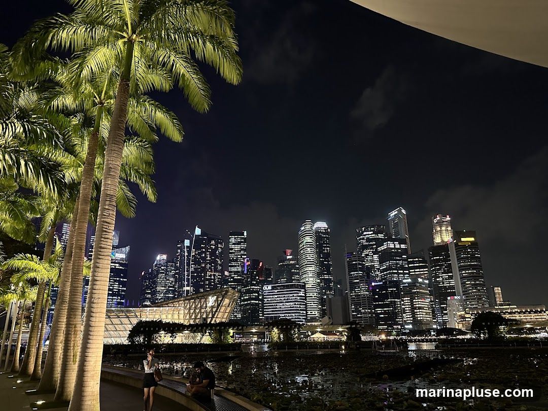 A nighttime view of a modern cityscape with numerous illuminated skyscrapers. In the foreground, a line of tall palm trees with lush green fronds are lit from below, casting shadows. A walkway runs alongside the trees, and a few people are visible sitting on benches. Beyond the walkway, a body of water with lily pads reflects the city lights. A distinctive glass-domed building is visible in the mid-ground.
