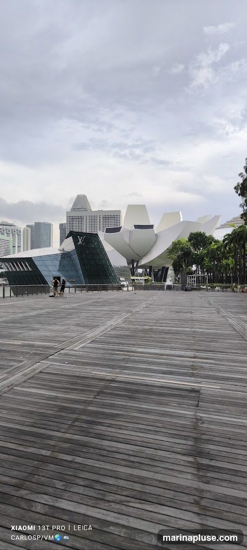 Olympic Walk