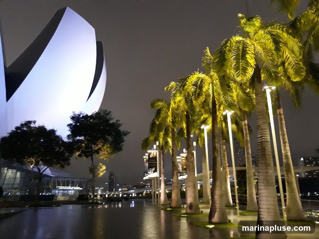A nighttime scene featuring a striking, modern building with curved white panels illuminated by soft blue and white lights. In the foreground, a row of tall palm trees with vibrant green fronds are lit by spotlights, casting a warm glow. The ground appears wet, reflecting the lights and creating a serene atmosphere. In the distance, city lights twinkle under a dark, overcast sky.