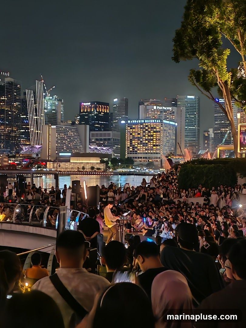 A large crowd gathers at night to watch a musician perform on a stage by the water. The cityscape with illuminated buildings forms the backdrop.