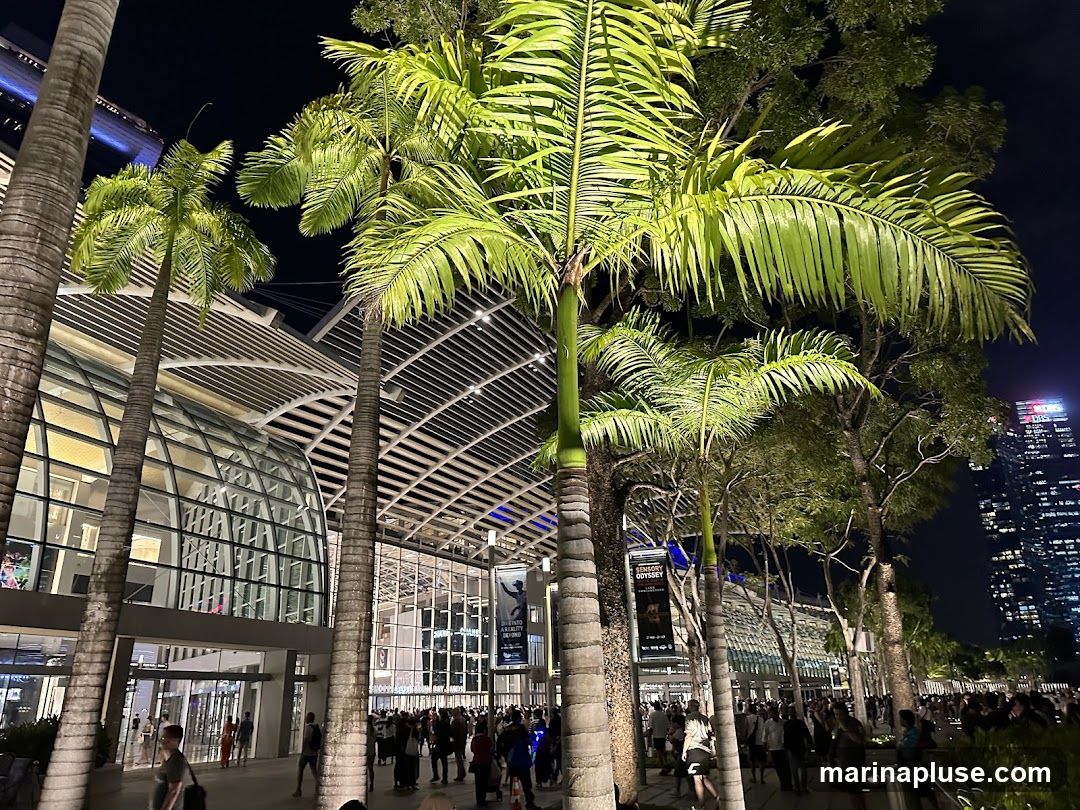 A nighttime scene shows a large, modern building with a glass facade and a distinctive curved roof structure. Tall palm trees are in the foreground, their fronds illuminated by artificial lights. A crowd of people is visible walking along a pathway in front of the building. In the background, a skyscraper with illuminated windows stands against the dark night sky. Several banners hang from the building's exterior, one of which reads "SENSORY ODYSSEY" and appears to be an advertisement or event poster.