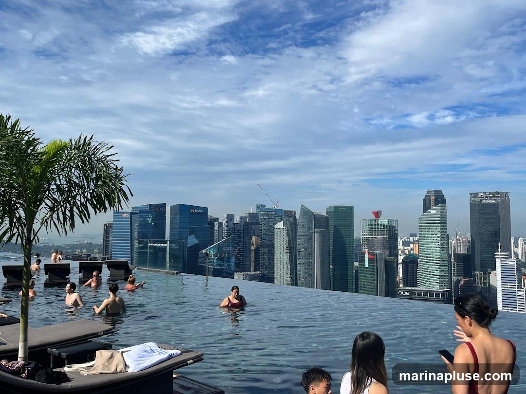 Rooftop Infinity Pool
