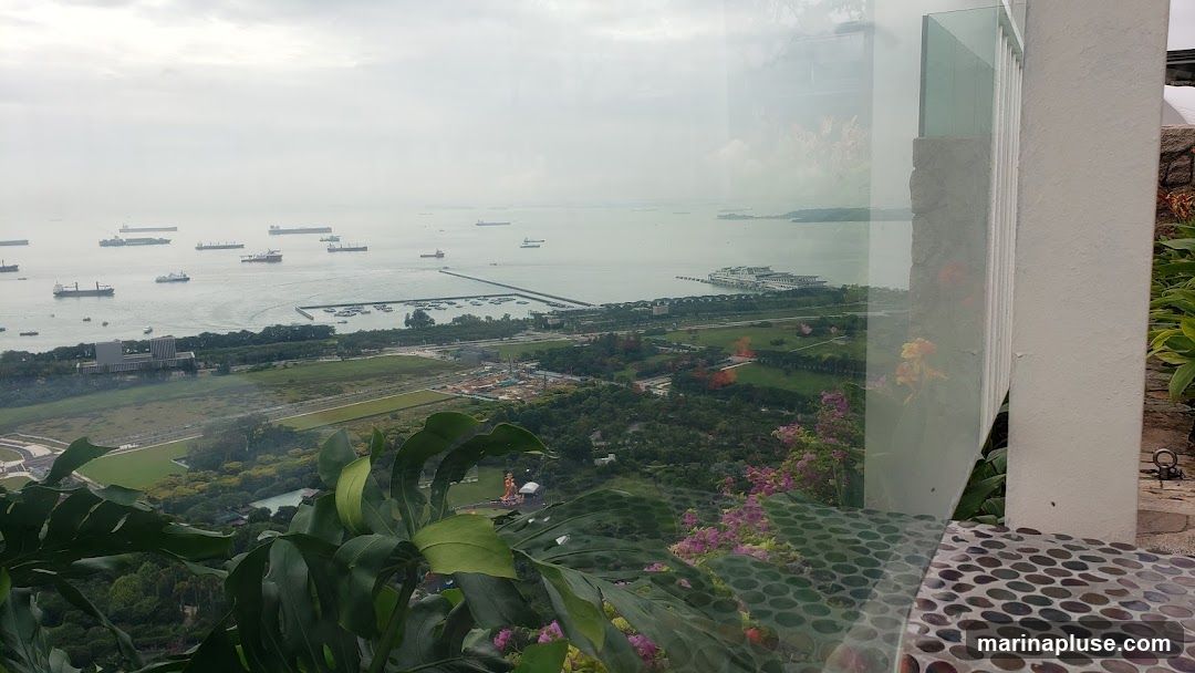 A panoramic view from a high vantage point overlooks a busy harbor filled with numerous cargo ships and smaller boats. In the distance, a coastline with buildings and infrastructure is visible. The foreground features lush green foliage, including large tropical leaves and flowering plants, suggesting a garden or balcony setting. A reflective glass surface partially obscures the view, creating a layered effect. The sky is overcast, casting a soft, diffused light over the scene.