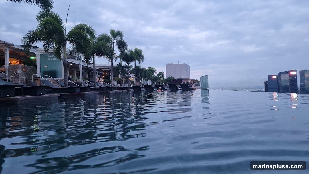 An infinity pool with lounge chairs and palm trees lines the edge of a building. In the background, a city skyline with tall buildings is visible under a cloudy sky. The water reflects the sky and buildings.
