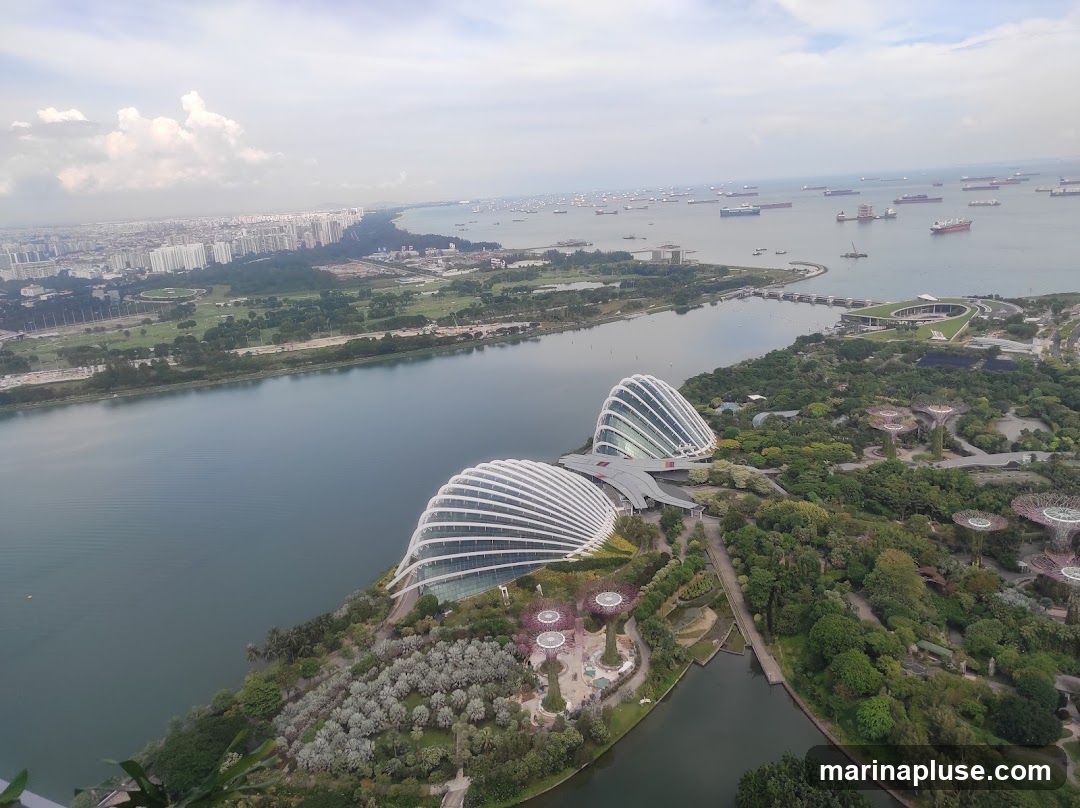 An aerial view of Gardens by the Bay in Singapore, showcasing its iconic Supertree Grove and conservatories. The cityscape and a busy shipping lane are visible in the background.