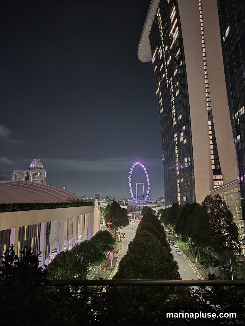 A nighttime view of the Marina Bay Sands hotel and the Singapore Flyer observation wheel. The image is taken from a slightly elevated position, looking down a tree-lined street with traffic. The buildings are illuminated, and the sky is dark.