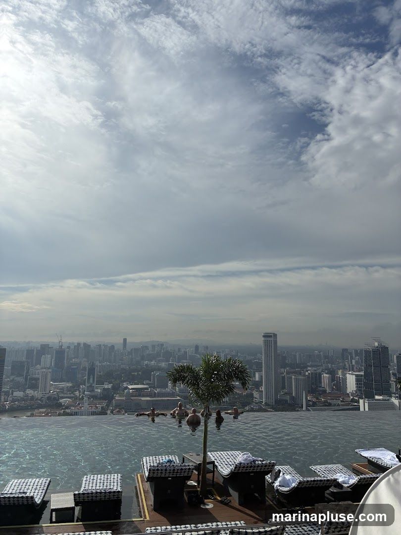 An infinity pool with several people relaxing in the water, overlooking a dense city skyline under a cloudy sky. Lounge chairs with patterned cushions are arranged around the pool deck, and a small palm tree stands in the water.