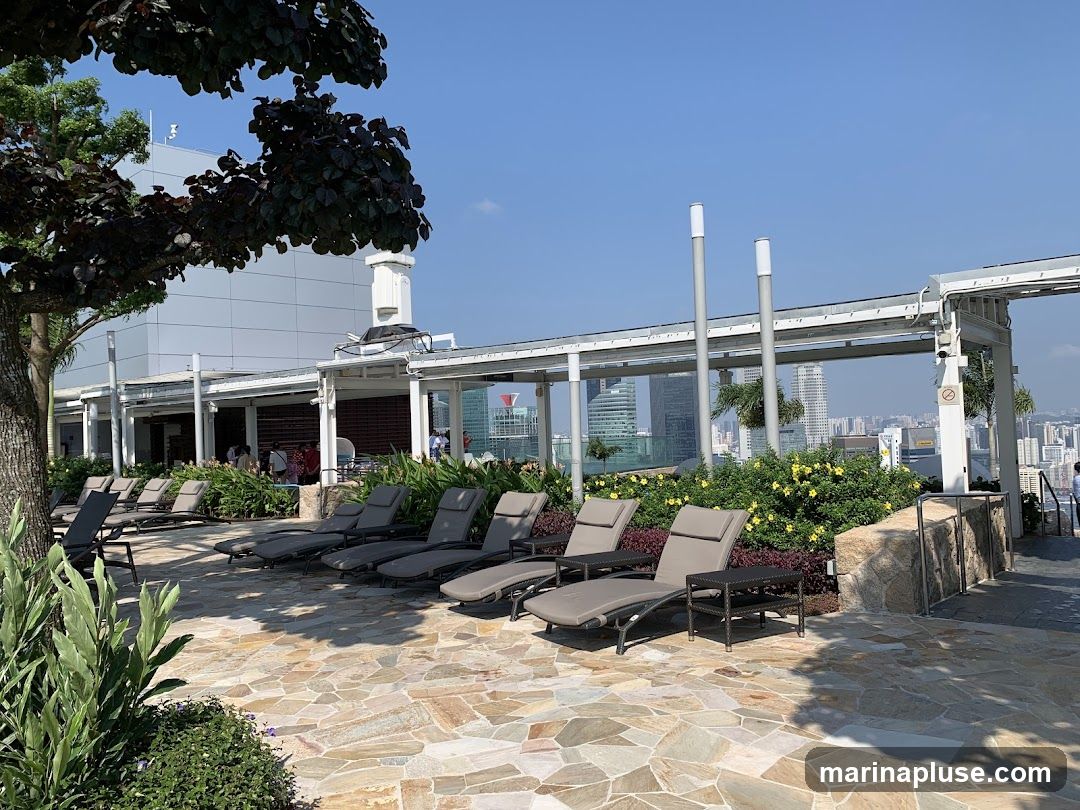 A sunny day at a rooftop lounge area, featuring numerous empty lounge chairs arranged on a stone patio. Lush green plants and yellow flowers border the seating area. In the background, a modern building with a white facade stands tall, and beyond that, a sprawling cityscape with skyscrapers is visible under a clear blue sky. The scene suggests a relaxing atmosphere with a panoramic urban vista.