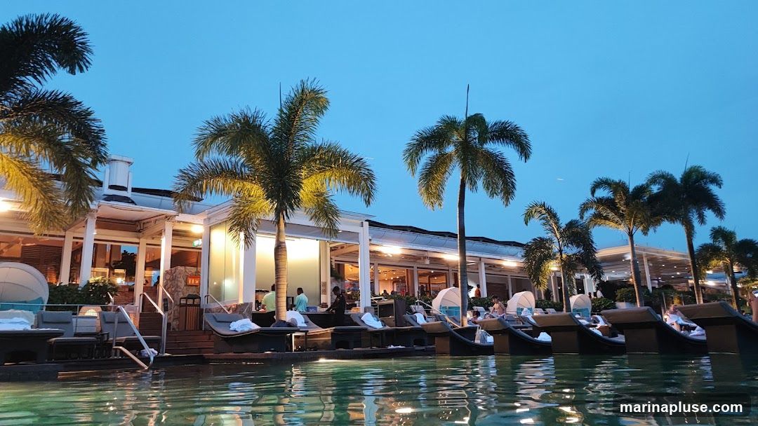 A serene view of a resort pool area at dusk, with palm trees silhouetted against the twilight sky. Lounge chairs are arranged by the water, some occupied by guests. The background features a modern building with open-air seating and ambient lighting, suggesting a restaurant or bar.