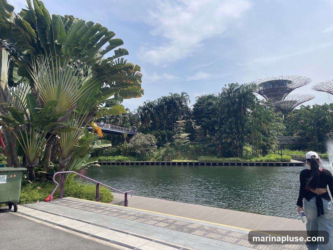 A scenic view of Gardens by the Bay in Singapore, featuring lush greenery, a tranquil body of water, and the iconic Supertree Grove in the background. Two individuals are seen from behind, enjoying the view.