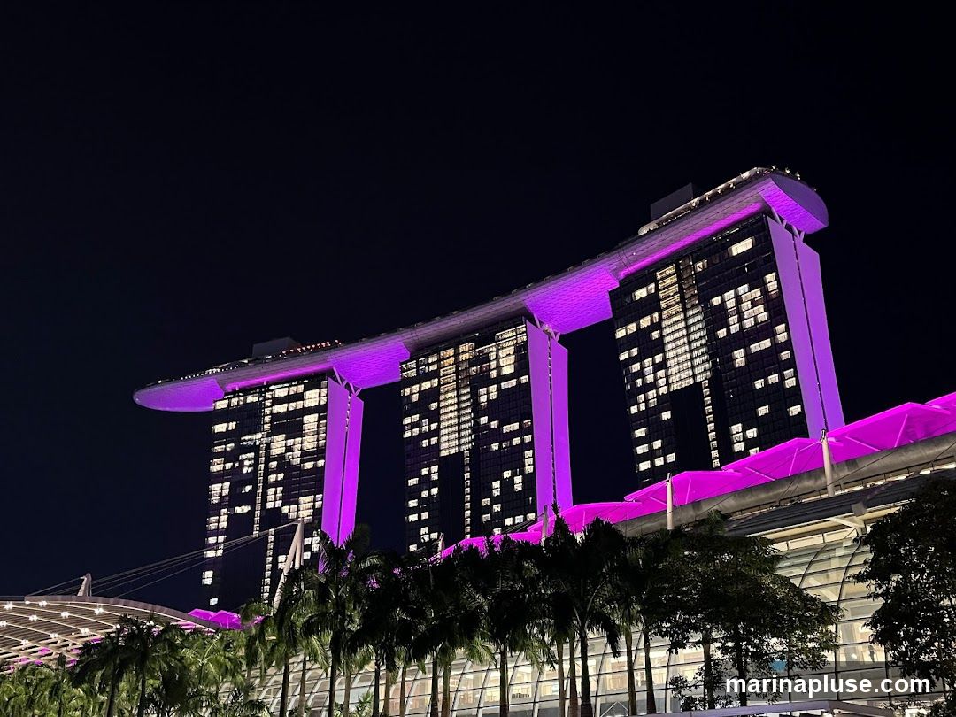 A nighttime view of the Marina Bay Sands hotel in Singapore, with its iconic three towers connected by a sky-high platform. The building is illuminated with vibrant purple lights, and many windows are lit, suggesting occupancy. Palm trees and modern architecture are visible in the foreground.