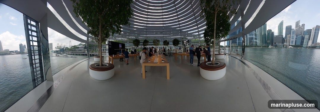 A panoramic view of a modern store interior with a domed glass ceiling and large windows overlooking a city skyline and waterfront. Several trees in planters are placed throughout the space. Wooden tables display electronic devices, and customers are browsing. The overall ambiance is bright and spacious, with a focus on the products and the scenic view.