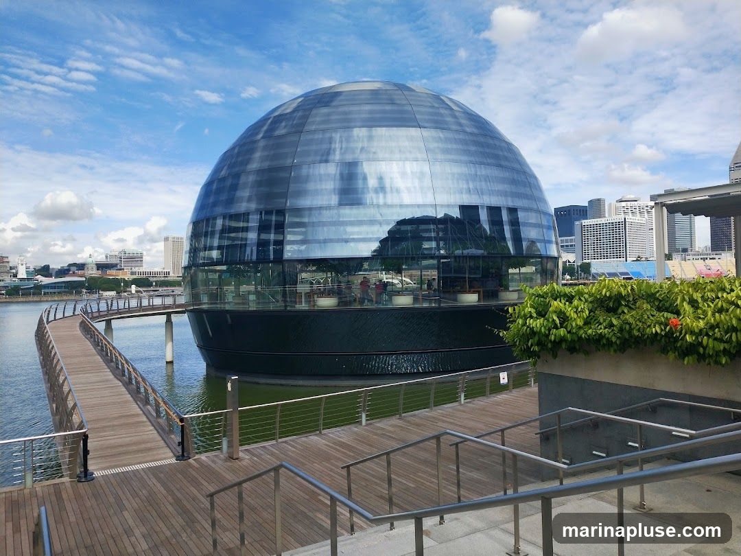 A striking, spherical glass building with a dark base sits on the water, reflecting the sky and surrounding cityscape. A wooden walkway curves around the building, leading to its entrance. In the foreground, a set of stairs and a wooden deck provide access to the area. Lush green foliage with a single orange flower adds a touch of nature to the scene. The background features a modern city skyline under a partly cloudy blue sky.