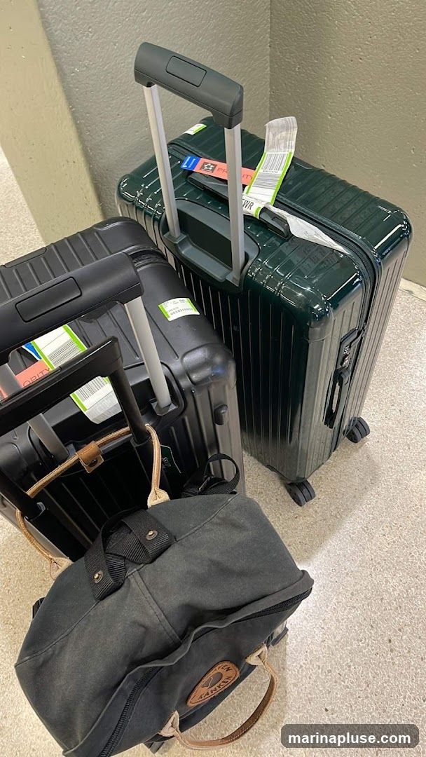 Three pieces of luggage are shown, two suitcases and a backpack. The suitcases are black and dark green, with retractable handles and wheels. Both suitcases have luggage tags attached. The backpack is dark gray with tan leather accents and a circular logo patch.