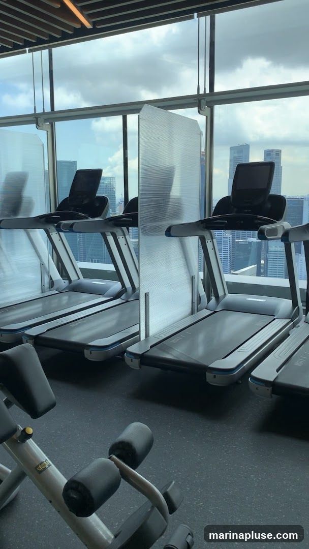 Several treadmills are lined up in a gym, separated by frosted glass partitions. The treadmills face a large window offering a panoramic view of a city skyline under a cloudy sky. In the foreground, a piece of weight training equipment is visible.