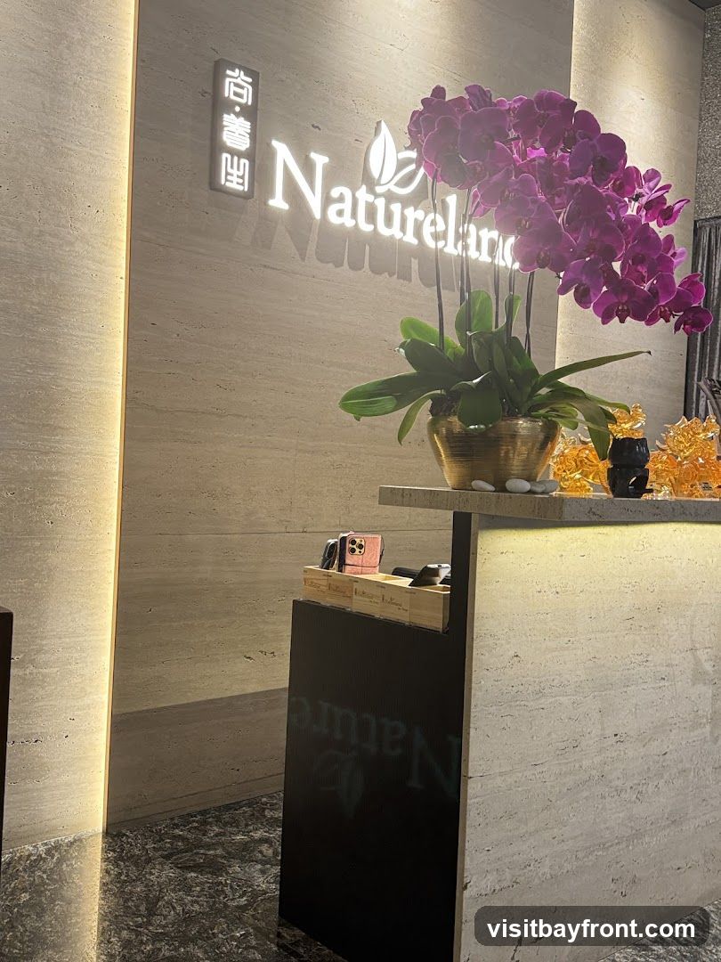 A well-lit reception area with a sign that reads "Natureland" in white illuminated letters. To the left of the sign, there are Chinese characters. A large pot of vibrant purple orchids is placed on the counter, adding a touch of color to the scene. The counter itself is made of a light-colored, textured material, and the floor is a dark, speckled marble. On the counter, there are a few items, including what appears to be phone cases and a wooden organizer.